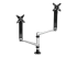 ARMDUAL30 - StarTech.com Desk Mount Dual Monitor Arm - Framsidan