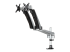 ARMDUAL30 - StarTech.com Desk Mount Dual Monitor Arm - Höger vinkel